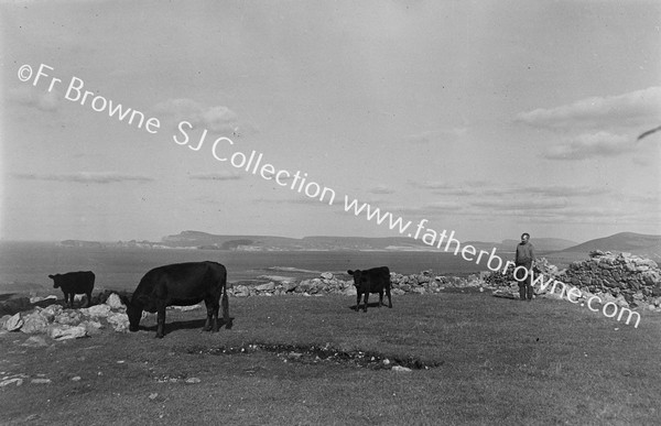 BENWEE HEAD & STAGS OF BROADHAVEN FROM WATCH TOWER ON ERRIS HEAD